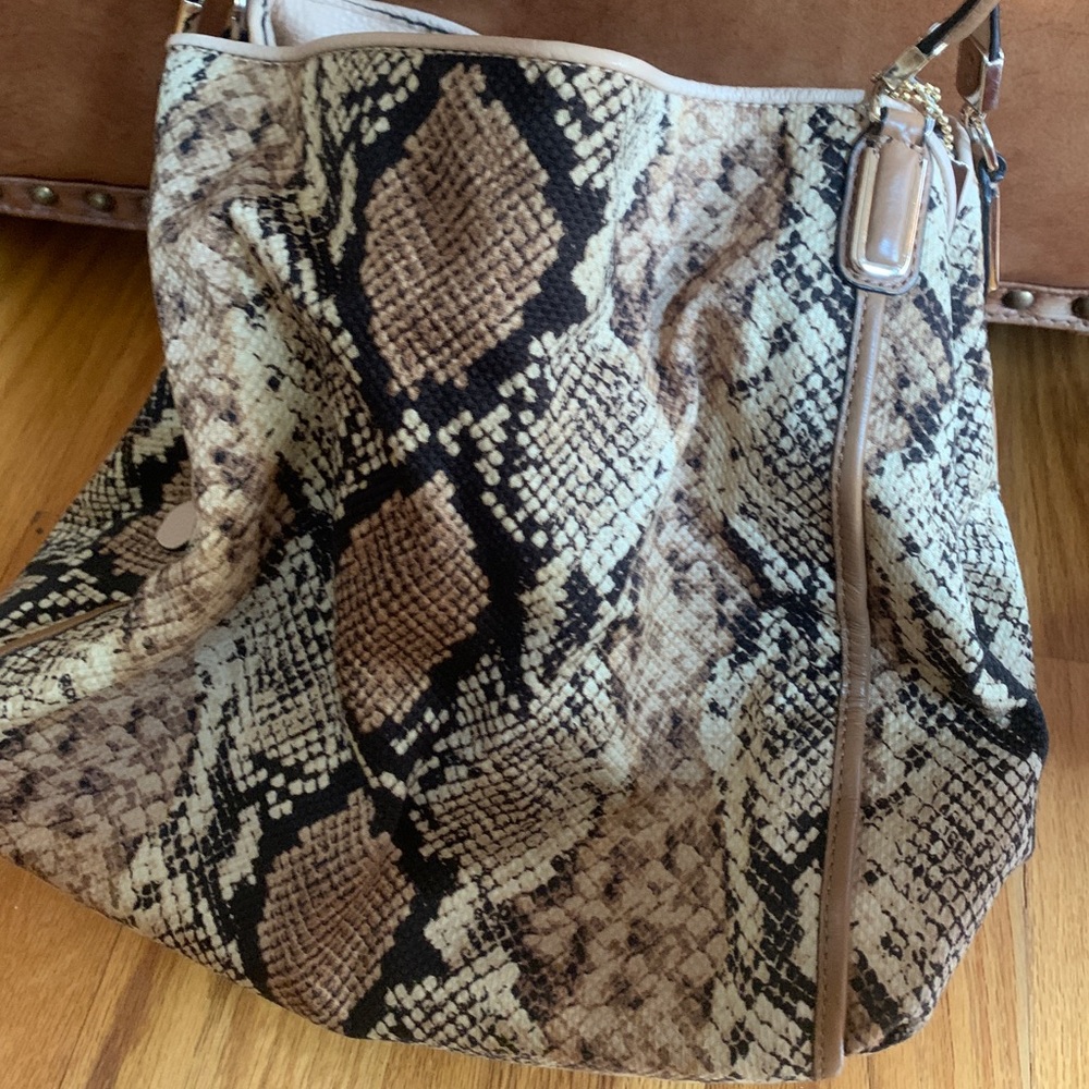 limited edition Coach snake print purse.